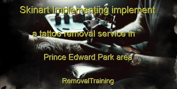 Skinart Implementing implement a tattoo removal service in Prince Edward Park area | RemovalTraining | RemovalClasses | SkinartTraining-Singapore