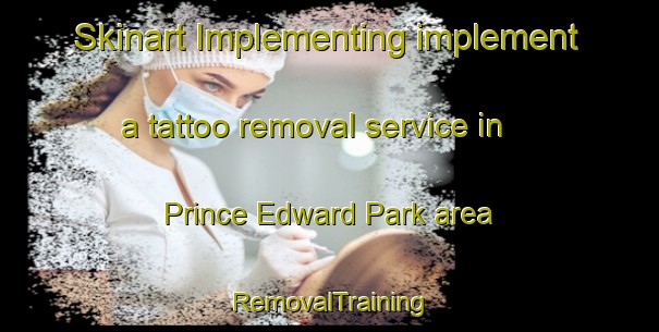 Skinart Implementing implement a tattoo removal service in Prince Edward Park area | RemovalTraining | RemovalClasses | SkinartTraining-Singapore