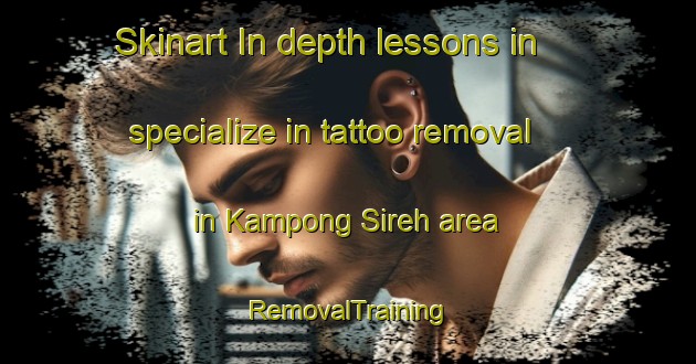 Skinart In-depth lessons in specialize in tattoo removal in Kampong Sireh area | RemovalTraining | RemovalClasses | SkinartTraining-Singapore