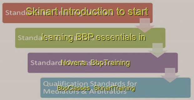 Skinart Introduction to start learning BBP essentials in Novena | BbpTraining | BbpClasses | SkinartTraining-Singapore