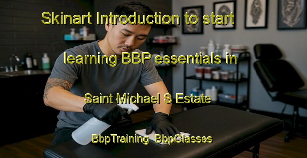 Skinart Introduction to start learning BBP essentials in Saint Michael S Estate | BbpTraining | BbpClasses | SkinartTraining-Singapore
