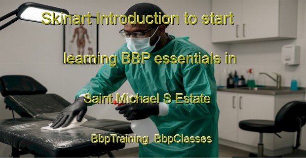 Skinart Introduction to start learning BBP essentials in Saint Michael S Estate | BbpTraining | BbpClasses | SkinartTraining-Singapore