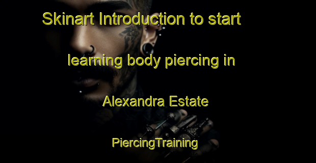 Skinart Introduction to start learning body piercing in Alexandra Estate | #PiercingTraining #PiercingClasses #SkinartTraining-Singapore