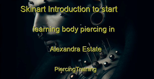 Skinart Introduction to start learning body piercing in Alexandra Estate | #PiercingTraining #PiercingClasses #SkinartTraining-Singapore