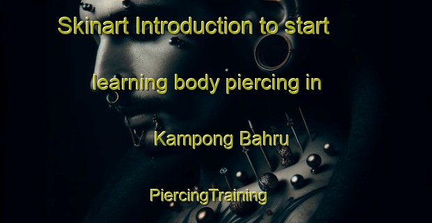 Skinart Introduction to start learning body piercing in Kampong Bahru | PiercingTraining | PiercingClasses | SkinartTraining-Singapore