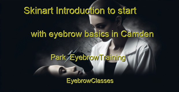 Skinart Introduction to start with eyebrow basics in Camden Park | EyebrowTraining | EyebrowClasses | SkinartTraining-Singapore