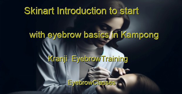 Skinart Introduction to start with eyebrow basics in Kampong Kranji | EyebrowTraining | EyebrowClasses | SkinartTraining-Singapore