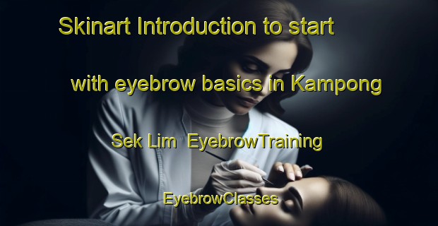 Skinart Introduction to start with eyebrow basics in Kampong Sek Lim | EyebrowTraining | EyebrowClasses | SkinartTraining-Singapore