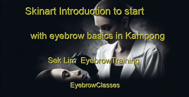 Skinart Introduction to start with eyebrow basics in Kampong Sek Lim | EyebrowTraining | EyebrowClasses | SkinartTraining-Singapore