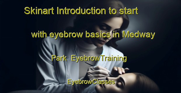 Skinart Introduction to start with eyebrow basics in Medway Park | EyebrowTraining | EyebrowClasses | SkinartTraining-Singapore