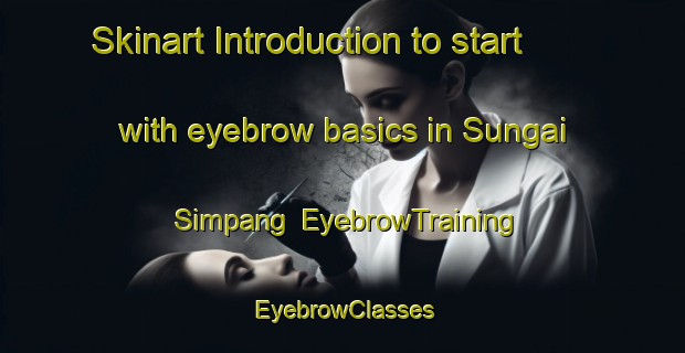Skinart Introduction to start with eyebrow basics in Sungai Simpang | EyebrowTraining | EyebrowClasses | SkinartTraining-Singapore