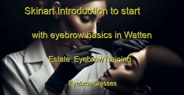 Skinart Introduction to start with eyebrow basics in Watten Estate | EyebrowTraining | EyebrowClasses | SkinartTraining-Singapore
