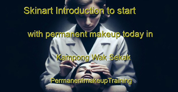 Skinart Introduction to start with permanent makeup today in Kampong Wak Sekak | PermanentmakeupTraining | PermanentmakeupClasses | SkinartTraining-Singapore