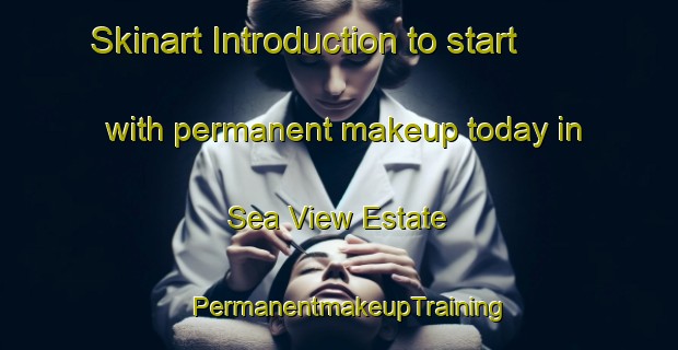 Skinart Introduction to start with permanent makeup today in Sea View Estate | PermanentmakeupTraining | PermanentmakeupClasses | SkinartTraining-Singapore