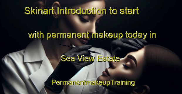 Skinart Introduction to start with permanent makeup today in Sea View Estate | PermanentmakeupTraining | PermanentmakeupClasses | SkinartTraining-Singapore