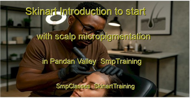 Skinart Introduction to start with scalp micropigmentation in Pandan Valley | SmpTraining | SmpClasses | SkinartTraining-Singapore