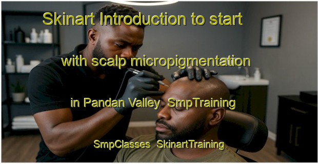 Skinart Introduction to start with scalp micropigmentation in Pandan Valley | SmpTraining | SmpClasses | SkinartTraining-Singapore