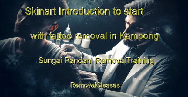 Skinart Introduction to start with tattoo removal in Kampong Sungai Pandan | RemovalTraining | RemovalClasses | SkinartTraining-Singapore