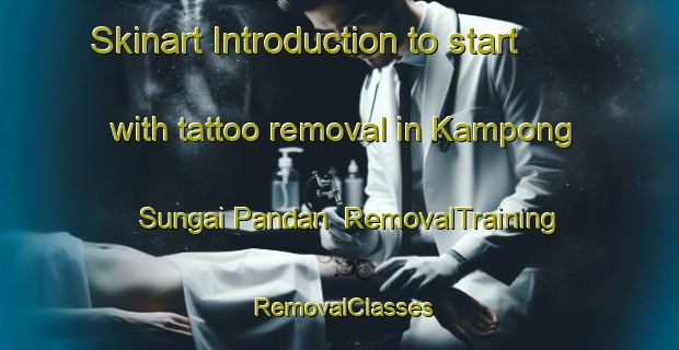 Skinart Introduction to start with tattoo removal in Kampong Sungai Pandan | RemovalTraining | RemovalClasses | SkinartTraining-Singapore