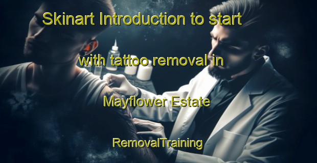 Skinart Introduction to start with tattoo removal in Mayflower Estate | RemovalTraining | RemovalClasses | SkinartTraining-Singapore