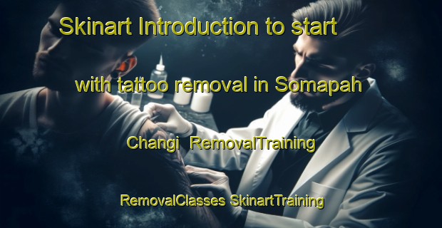 Skinart Introduction to start with tattoo removal in Somapah Changi | #RemovalTraining #RemovalClasses #SkinartTraining-Singapore