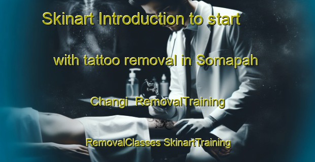 Skinart Introduction to start with tattoo removal in Somapah Changi | #RemovalTraining #RemovalClasses #SkinartTraining-Singapore