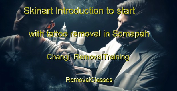 Skinart Introduction to start with tattoo removal in Somapah Changi | RemovalTraining | RemovalClasses | SkinartTraining-Singapore