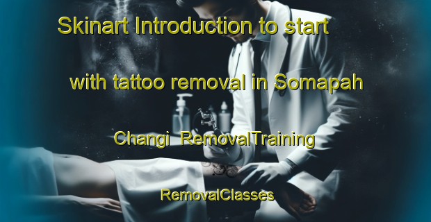 Skinart Introduction to start with tattoo removal in Somapah Changi | RemovalTraining | RemovalClasses | SkinartTraining-Singapore