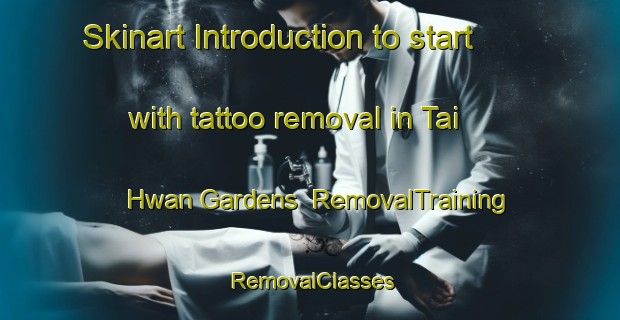 Skinart Introduction to start with tattoo removal in Tai Hwan Gardens | RemovalTraining | RemovalClasses | SkinartTraining-Singapore