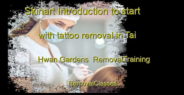 Skinart Introduction to start with tattoo removal in Tai Hwan Gardens | RemovalTraining | RemovalClasses | SkinartTraining-Singapore