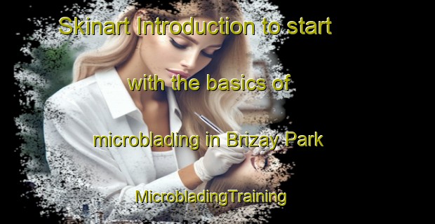 Skinart Introduction to start with the basics of microblading in Brizay Park | MicrobladingTraining | MicrobladingClasses | SkinartTraining-Singapore
