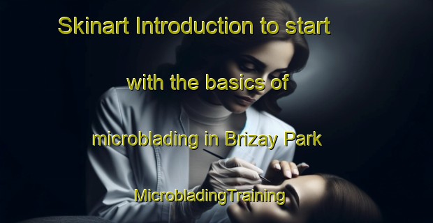 Skinart Introduction to start with the basics of microblading in Brizay Park | MicrobladingTraining | MicrobladingClasses | SkinartTraining-Singapore