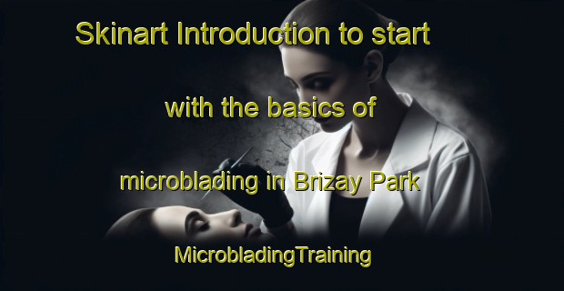 Skinart Introduction to start with the basics of microblading in Brizay Park | MicrobladingTraining | MicrobladingClasses | SkinartTraining-Singapore