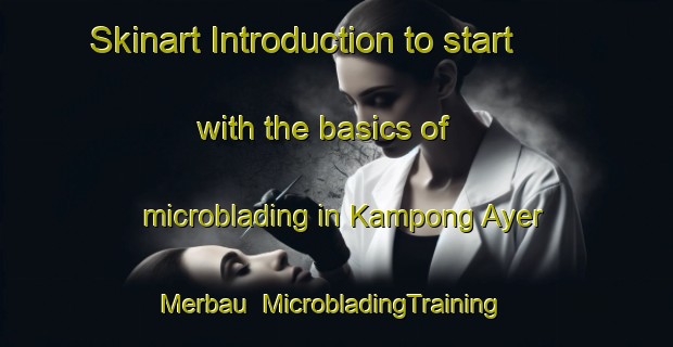 Skinart Introduction to start with the basics of microblading in Kampong Ayer Merbau | MicrobladingTraining | MicrobladingClasses | SkinartTraining-Singapore