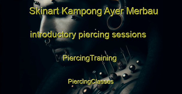 Skinart Kampong Ayer Merbau introductory piercing sessions | #PiercingTraining #PiercingClasses #SkinartTraining-Singapore