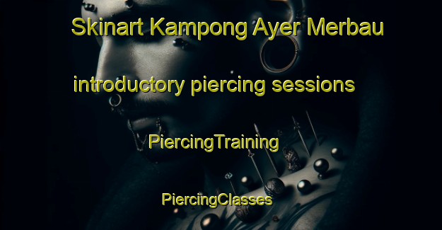 Skinart Kampong Ayer Merbau introductory piercing sessions | PiercingTraining | PiercingClasses | SkinartTraining-Singapore