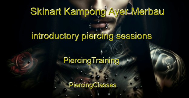 Skinart Kampong Ayer Merbau introductory piercing sessions | PiercingTraining | PiercingClasses | SkinartTraining-Singapore