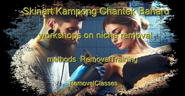 Skinart Kampong Chantek Baharu workshops on niche removal methods | RemovalTraining | RemovalClasses | SkinartTraining-Singapore