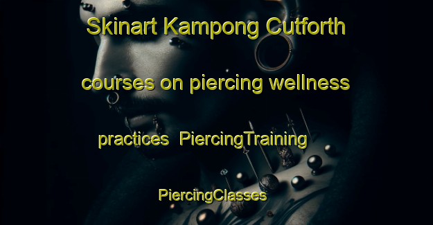 Skinart Kampong Cutforth courses on piercing wellness practices | PiercingTraining | PiercingClasses | SkinartTraining-Singapore