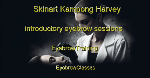 Skinart Kampong Harvey introductory eyebrow sessions | EyebrowTraining | EyebrowClasses | SkinartTraining-Singapore