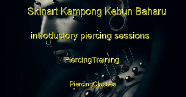 Skinart Kampong Kebun Baharu introductory piercing sessions | #PiercingTraining #PiercingClasses #SkinartTraining-Singapore