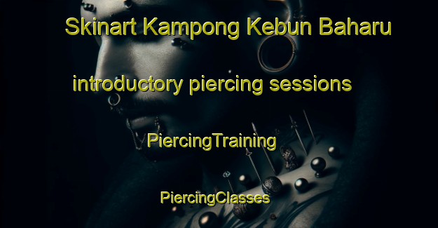 Skinart Kampong Kebun Baharu introductory piercing sessions | PiercingTraining | PiercingClasses | SkinartTraining-Singapore