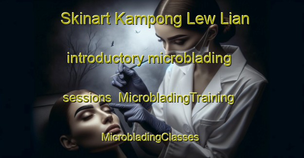 Skinart Kampong Lew Lian introductory microblading sessions | MicrobladingTraining | MicrobladingClasses | SkinartTraining-Singapore