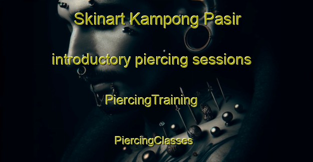 Skinart Kampong Pasir introductory piercing sessions | PiercingTraining | PiercingClasses | SkinartTraining-Singapore