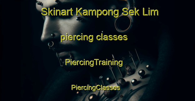 Skinart Kampong Sek Lim piercing classes | PiercingTraining | PiercingClasses | SkinartTraining-Singapore