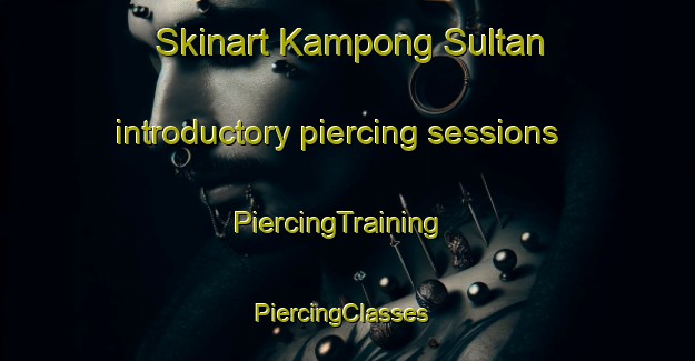 Skinart Kampong Sultan introductory piercing sessions | PiercingTraining | PiercingClasses | SkinartTraining-Singapore