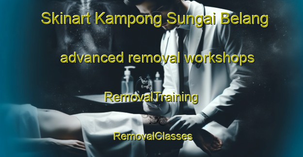 Skinart Kampong Sungai Belang advanced removal workshops | RemovalTraining | RemovalClasses | SkinartTraining-Singapore