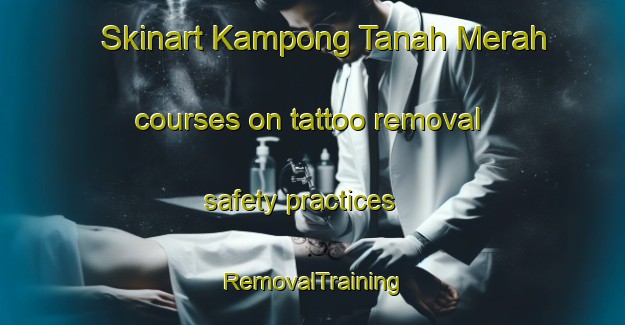 Skinart Kampong Tanah Merah courses on tattoo removal safety practices | RemovalTraining | RemovalClasses | SkinartTraining-Singapore