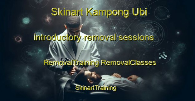 Skinart Kampong Ubi introductory removal sessions | #RemovalTraining #RemovalClasses #SkinartTraining-Singapore