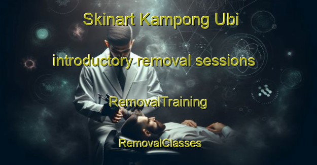 Skinart Kampong Ubi introductory removal sessions | RemovalTraining | RemovalClasses | SkinartTraining-Singapore